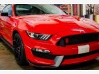Thumbnail Photo 4 for 2016 Ford Mustang Shelby GT350 Coupe